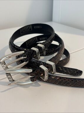 BRIGHTON Classics belts SET OF TWO snakeskin look & silver tone metal grey brown
